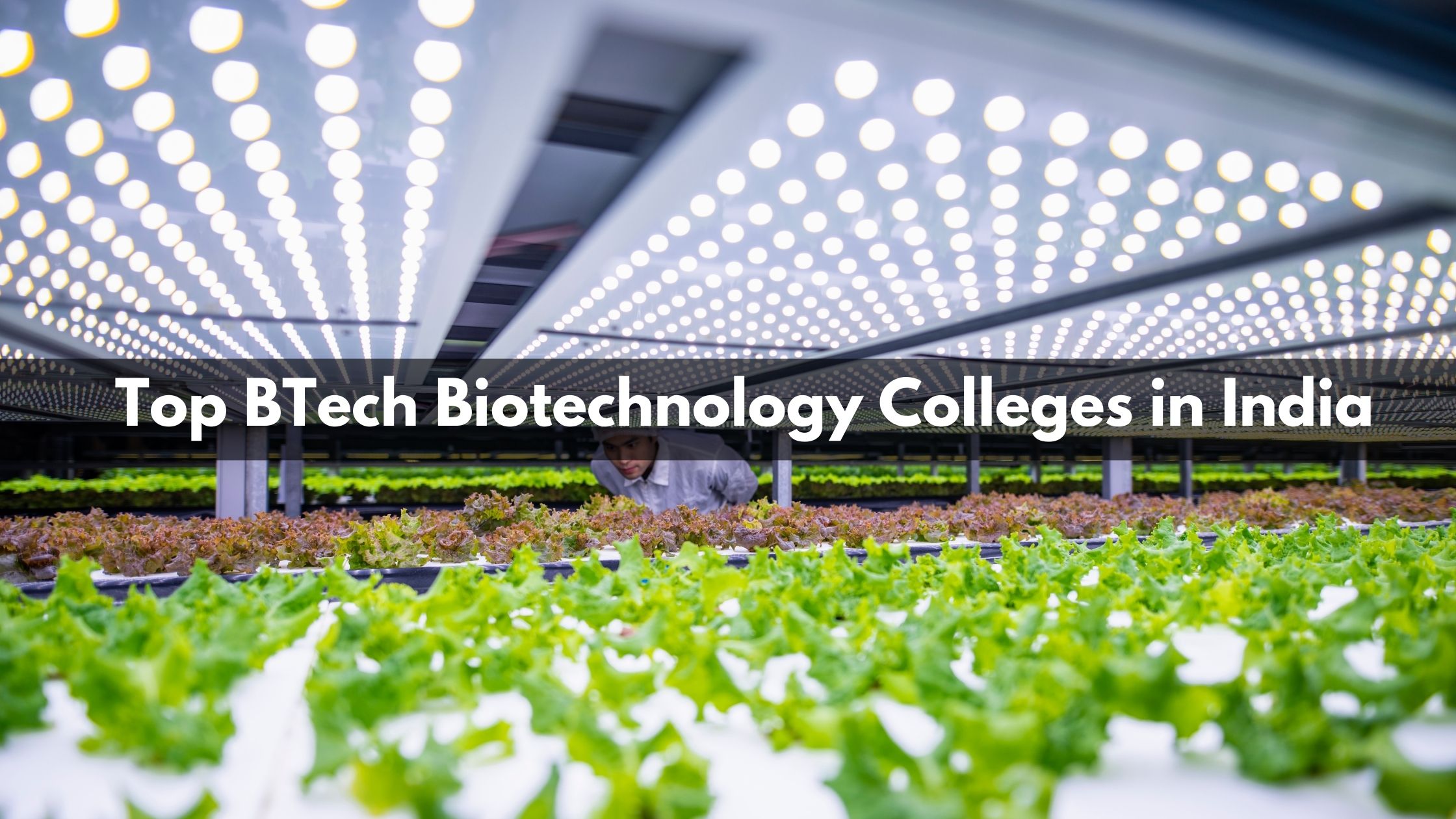 phd in biotechnology in delhi