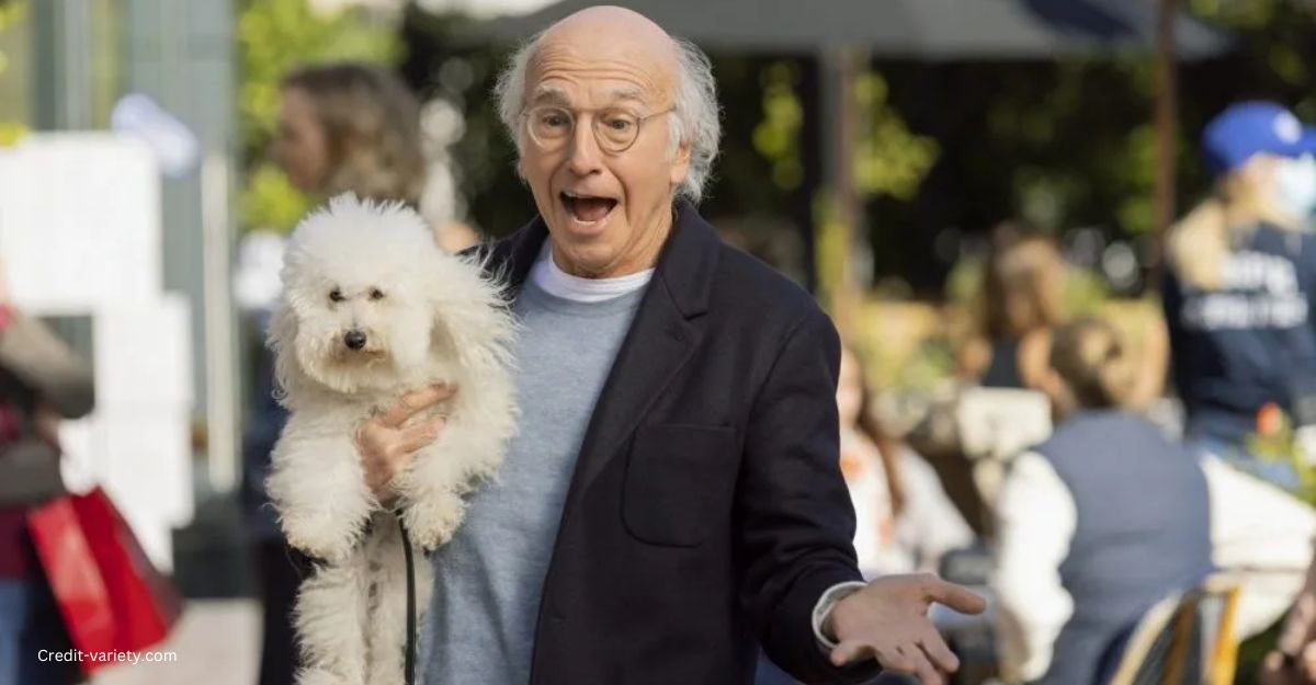 Curb Your Enthusiasm Season 12 release date