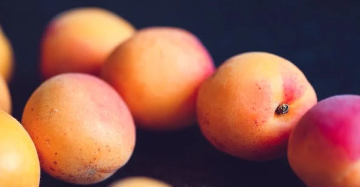 Peach - Avoid during pregnancy