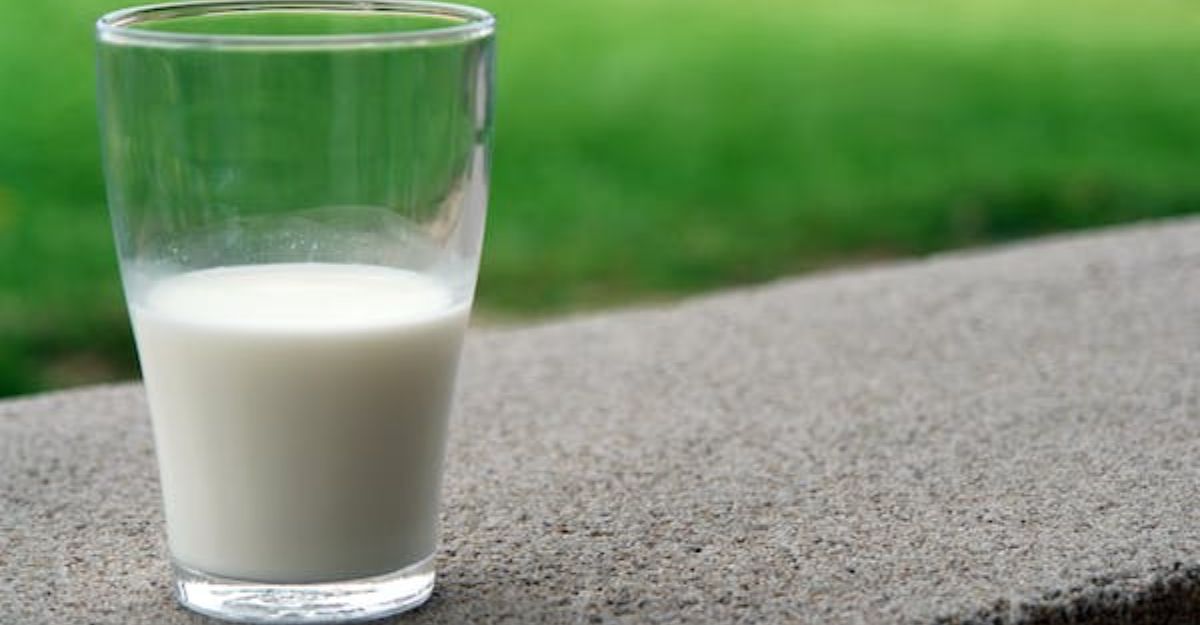 Raw milk - Avoid during Pregnancy