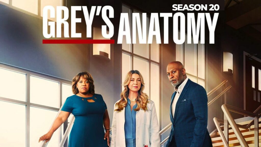 Grey's Anatomy Season 20 Release Date, Trailer, Cast & More